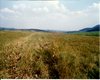 Ackerfl�che Oroszl�ny  Gro�e Anzahl aktueller Bauernh�user, Bauernh�fe, Reiterh�fe, alte M�hlen - hier finden auch Sie IHR Bauernhaus, Bauernhof, Reiterhof oder alte M�hle!