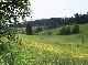 alleenstaand landhuis, Schwarzwald-Baar-Kreis, Baden-Wuerttemberg