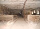 Bauernhof, Uckermark, Brandenburg